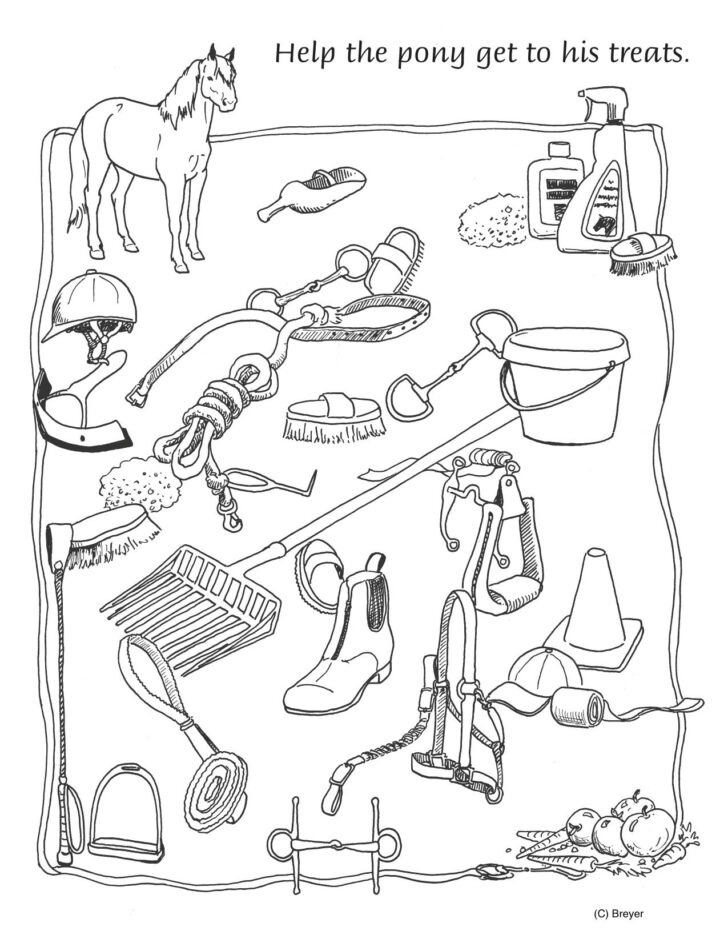 Free Printable Horse Activity Sheets Anatomy Worksheets