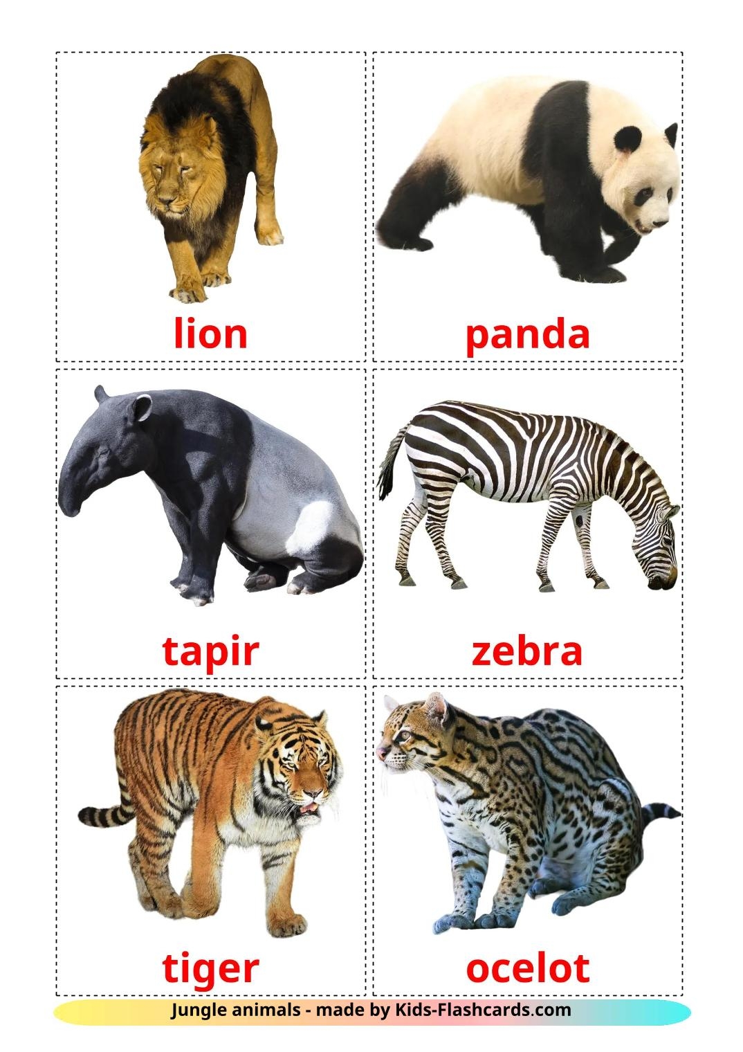 Free Printable Jungle Animals Images