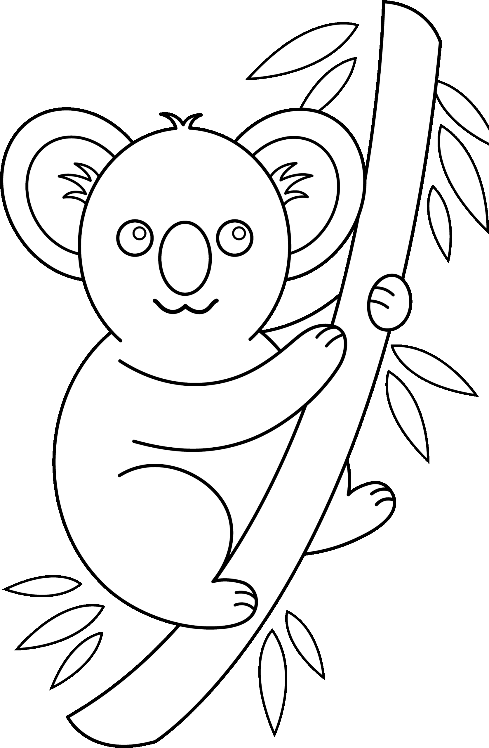 free printable koala pictures