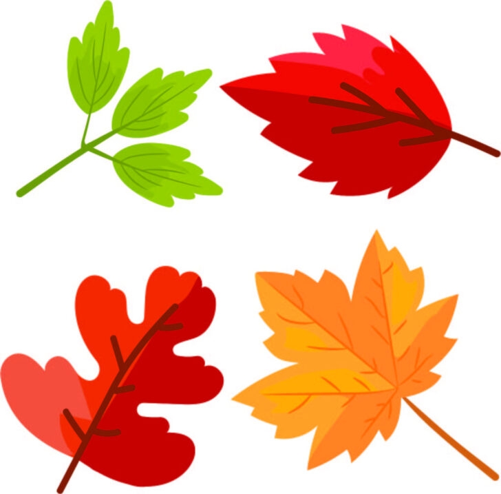 fall leaves pictures free printable
