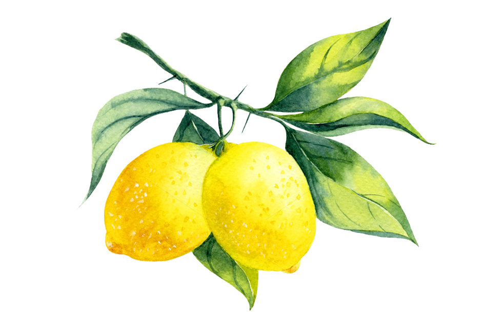 Free Printable Lemon Images