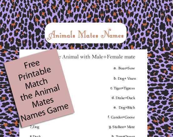 free printable animal mates game