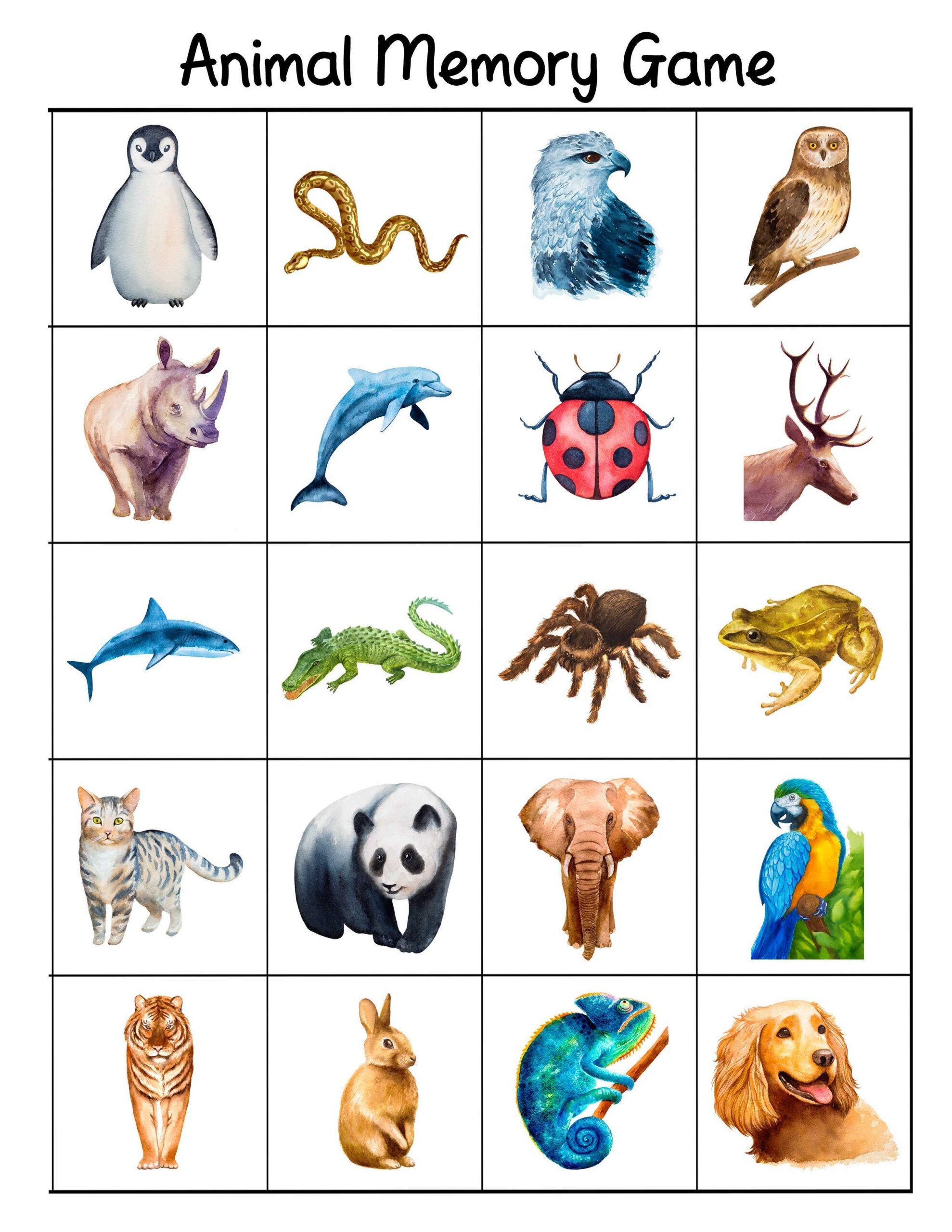 Free Printable Matching Cards Free Printable Card