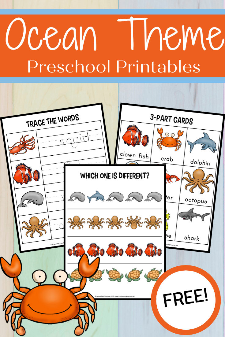 free printable ocean activity pages