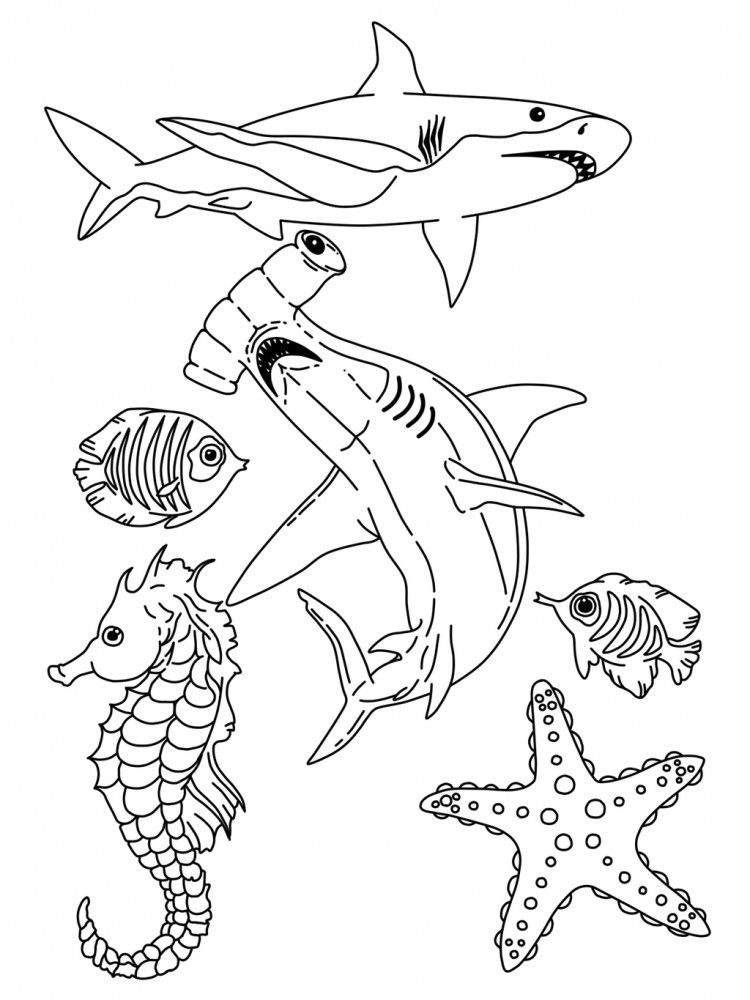 Free Printable Ocean Animal Printables