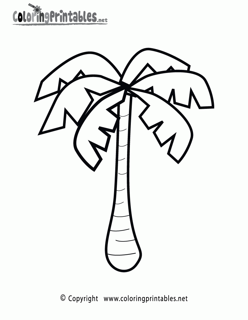 Free Printable Palm Tree Coloring Page