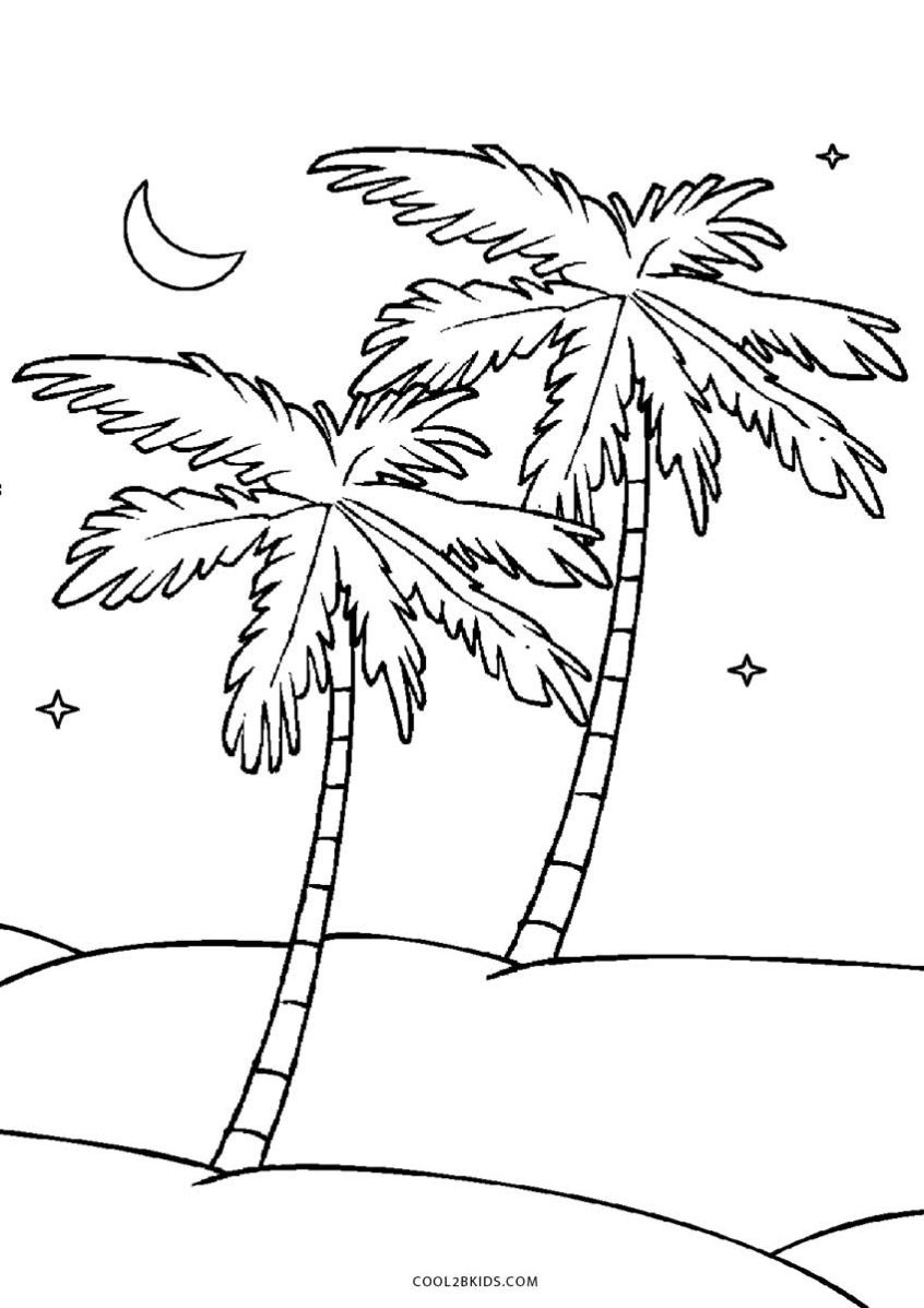 free printable palm tree pictures