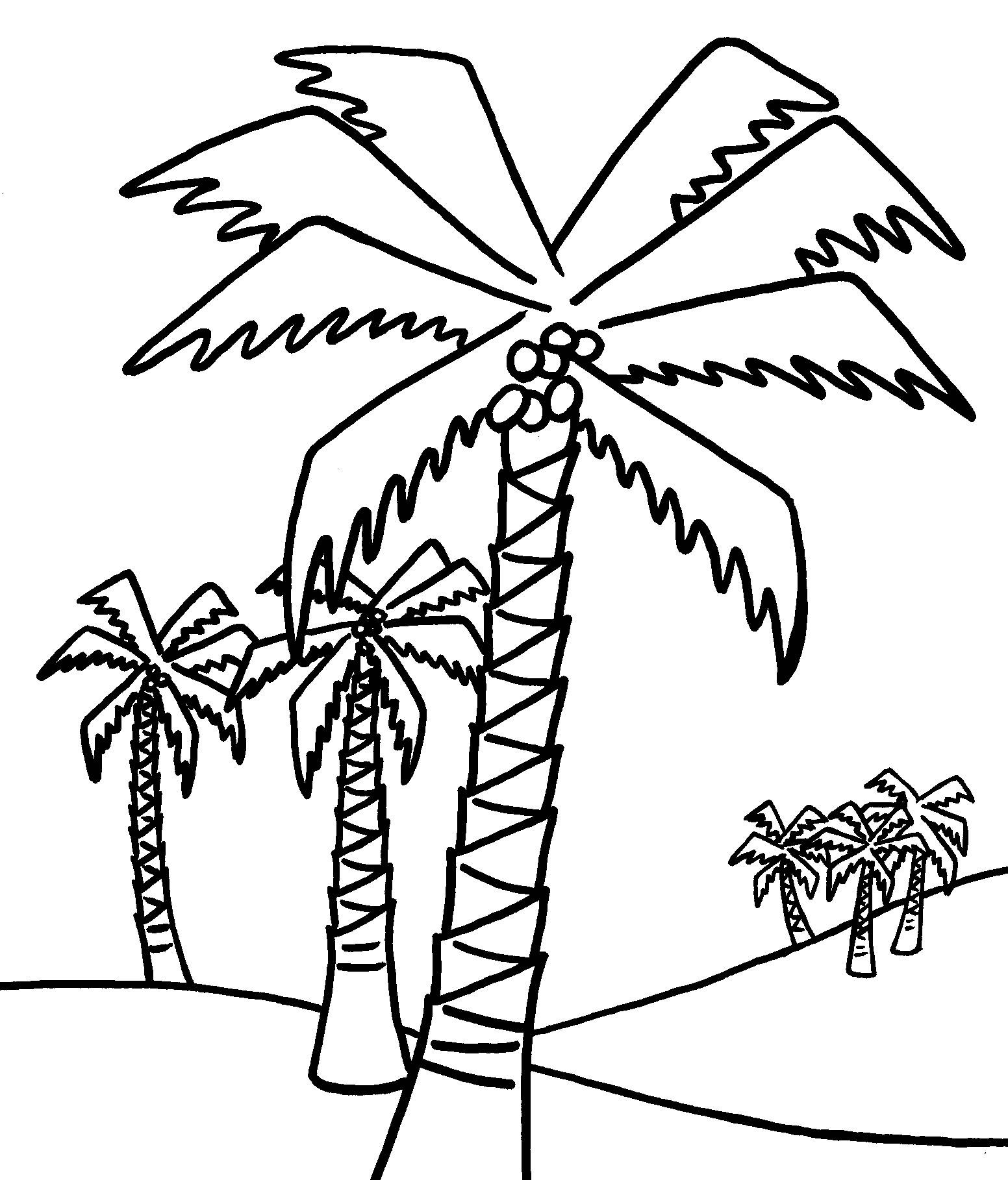 Free Printable Palm Tree Template Free Printable
