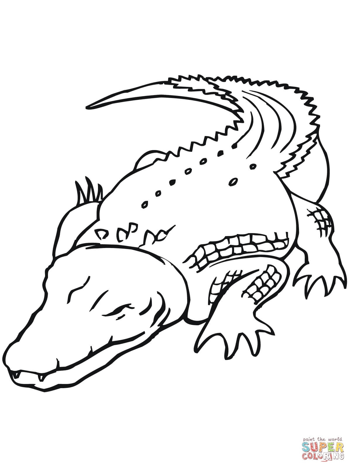 Free Printable Pictures Of Crocodiles Free Printable A To Z