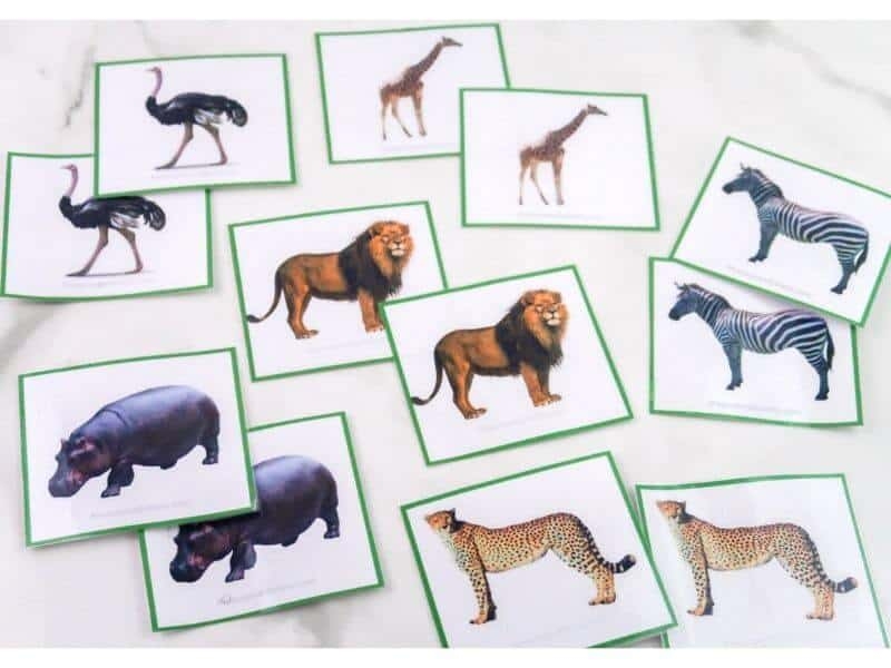 Free Printable Safari Animal Matching Cards The Purposeful Nest