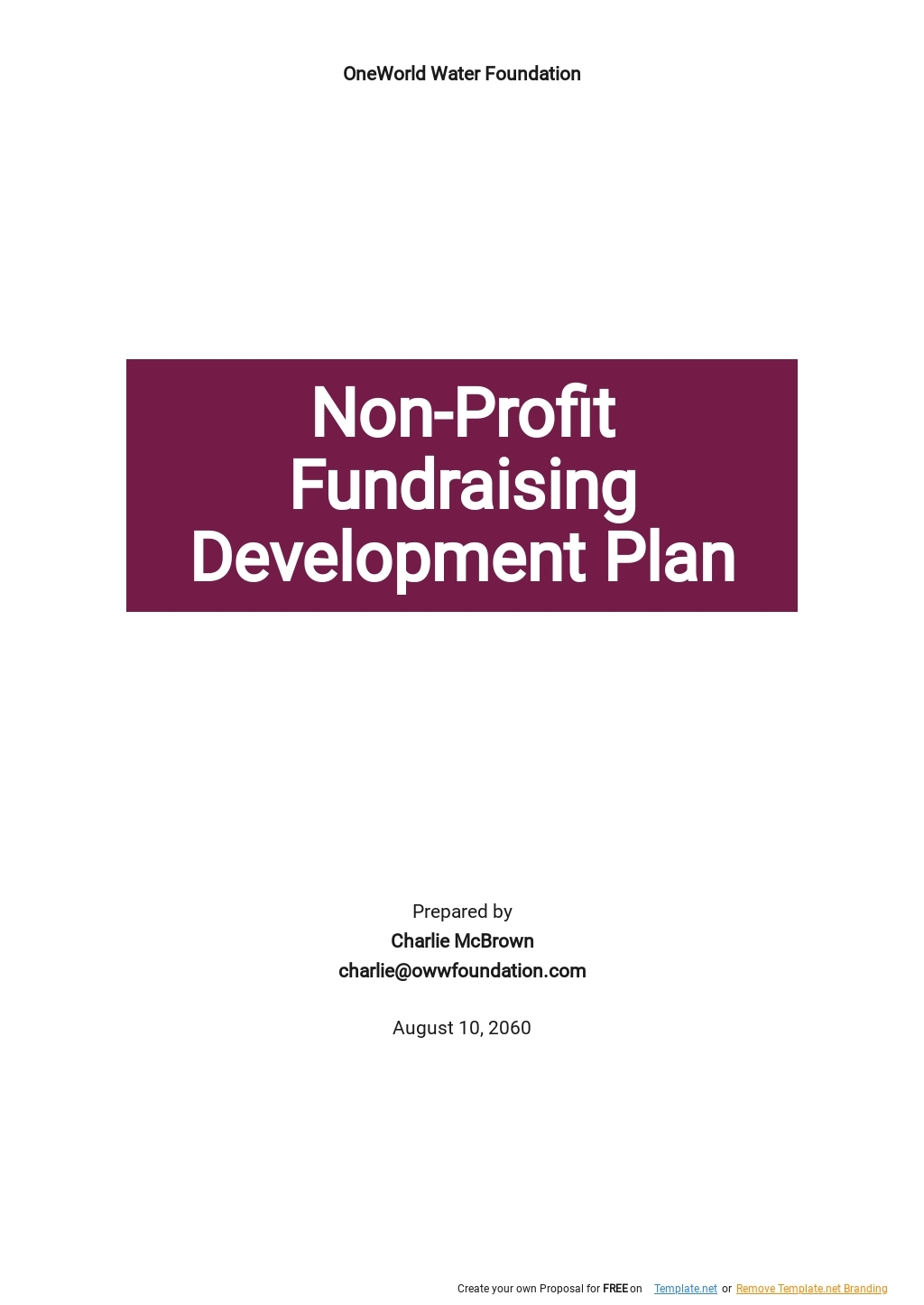 Free Short Nonprofit Development Plan Template Google Docs Word 