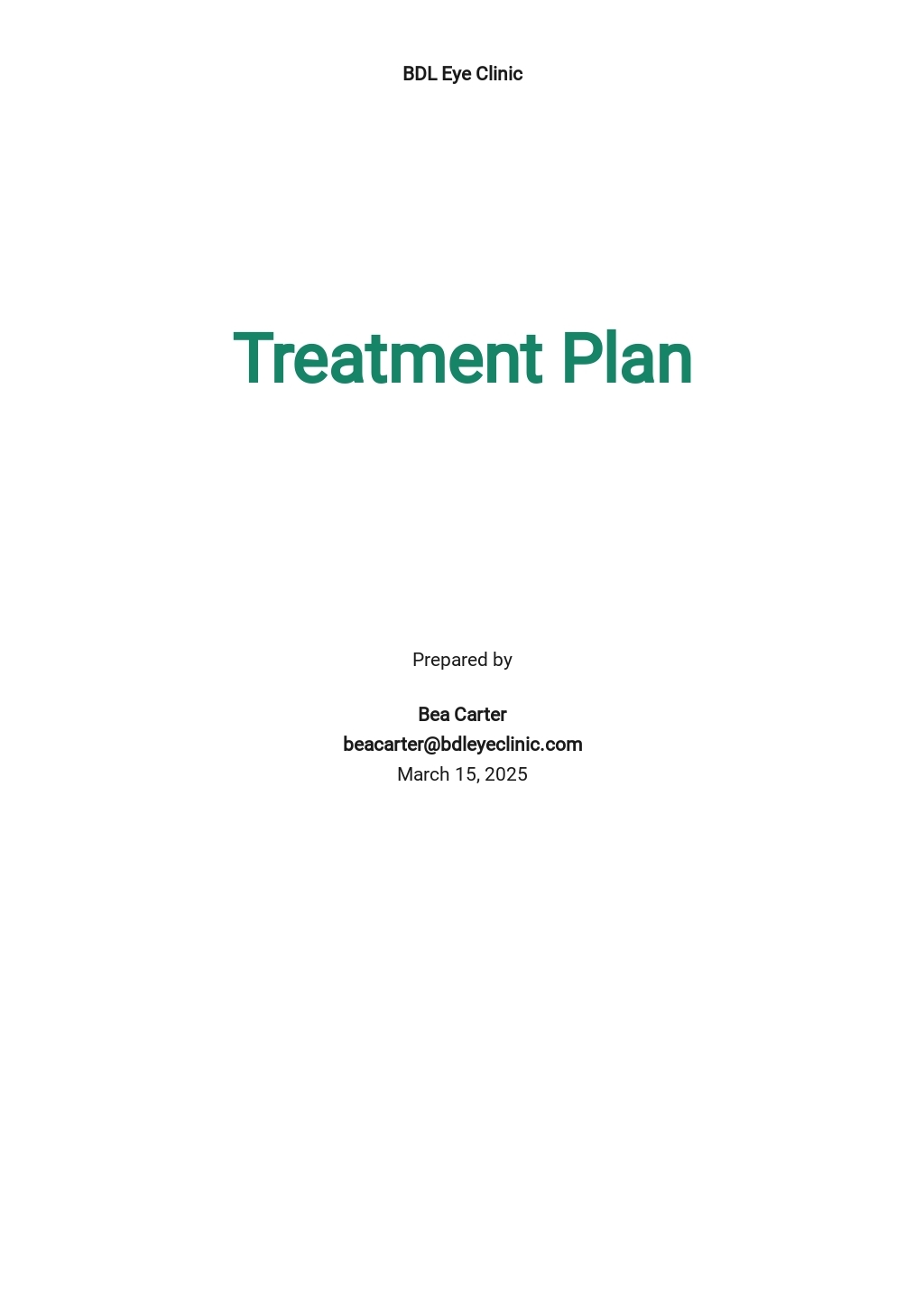 FREE Treatment Plan Template In Adobe PDF Template