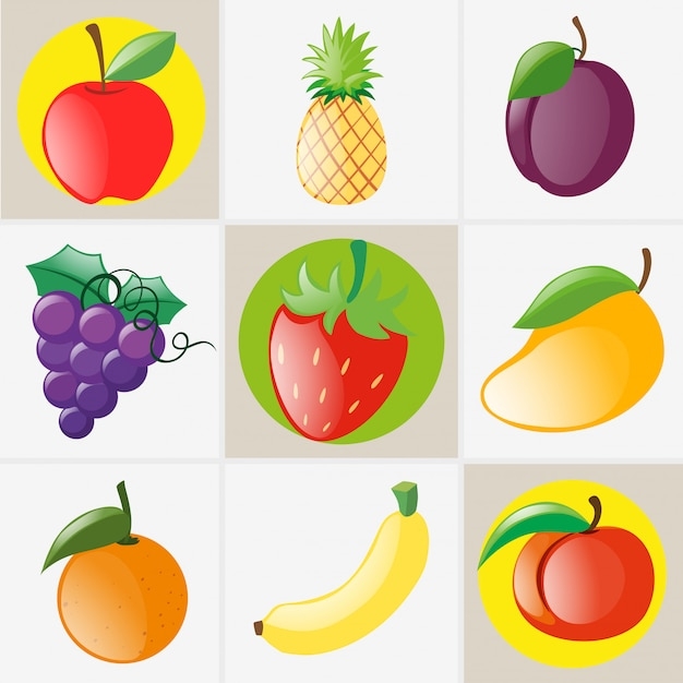 Free Vector Different Types Of Fruits