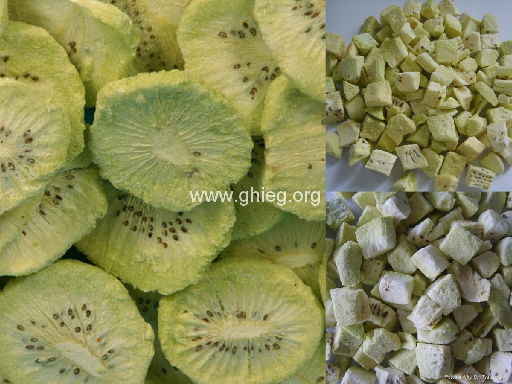 Freeze Dried Fruits FD Fruits Golden Harvest China Manufacturer 