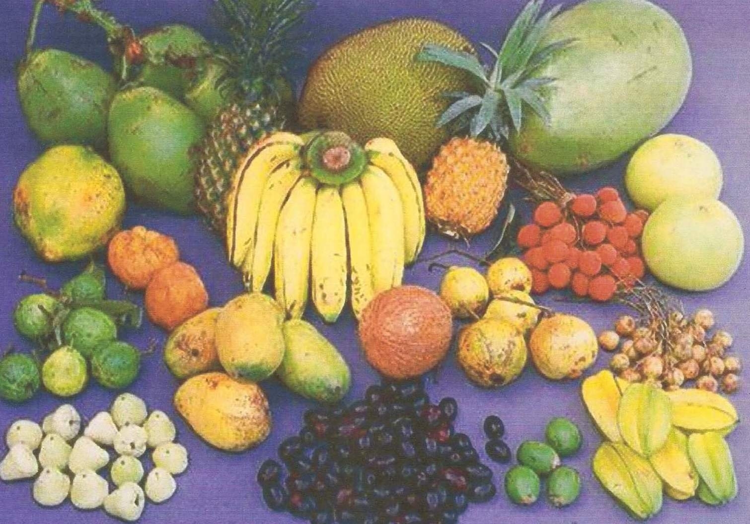 bangladeshi fruits name with pictures