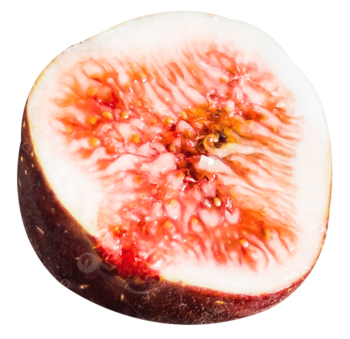 picture of figs fruit