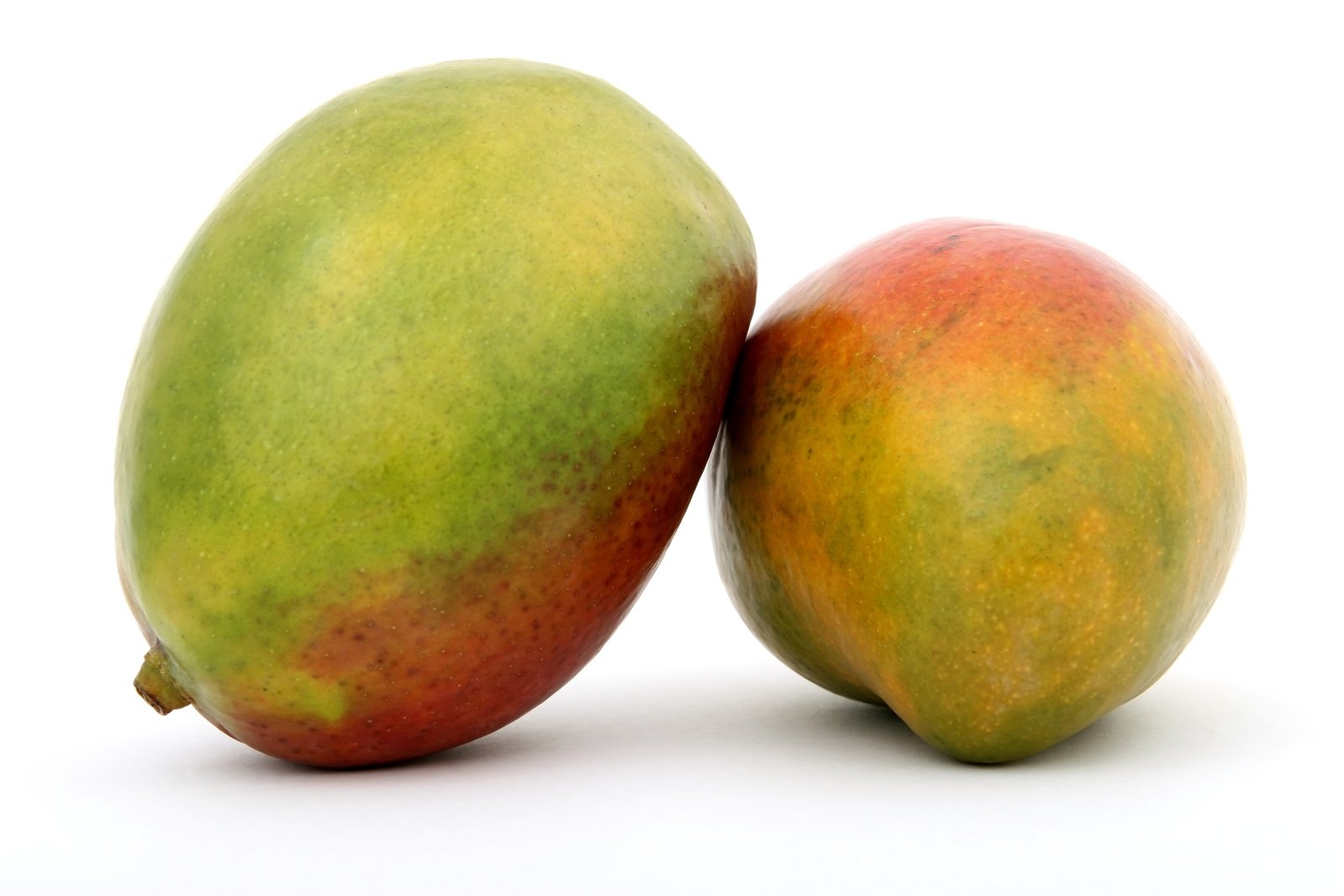 green mango fruit pictures