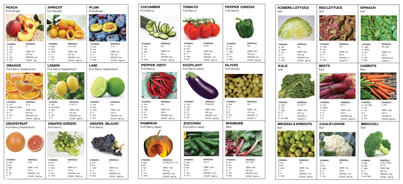 Fruit And Vegetable Card Games Ellen McHenry 39 s Basement Workshop