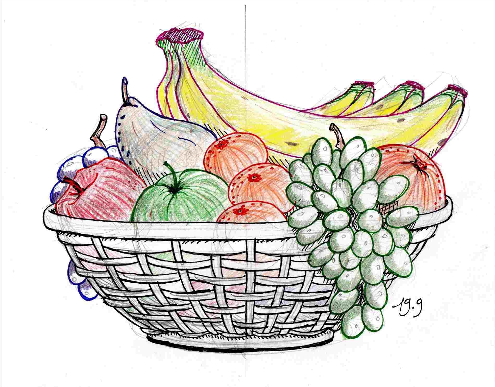 Fruit Basket Drawing At PaintingValley Explore Collection Of 