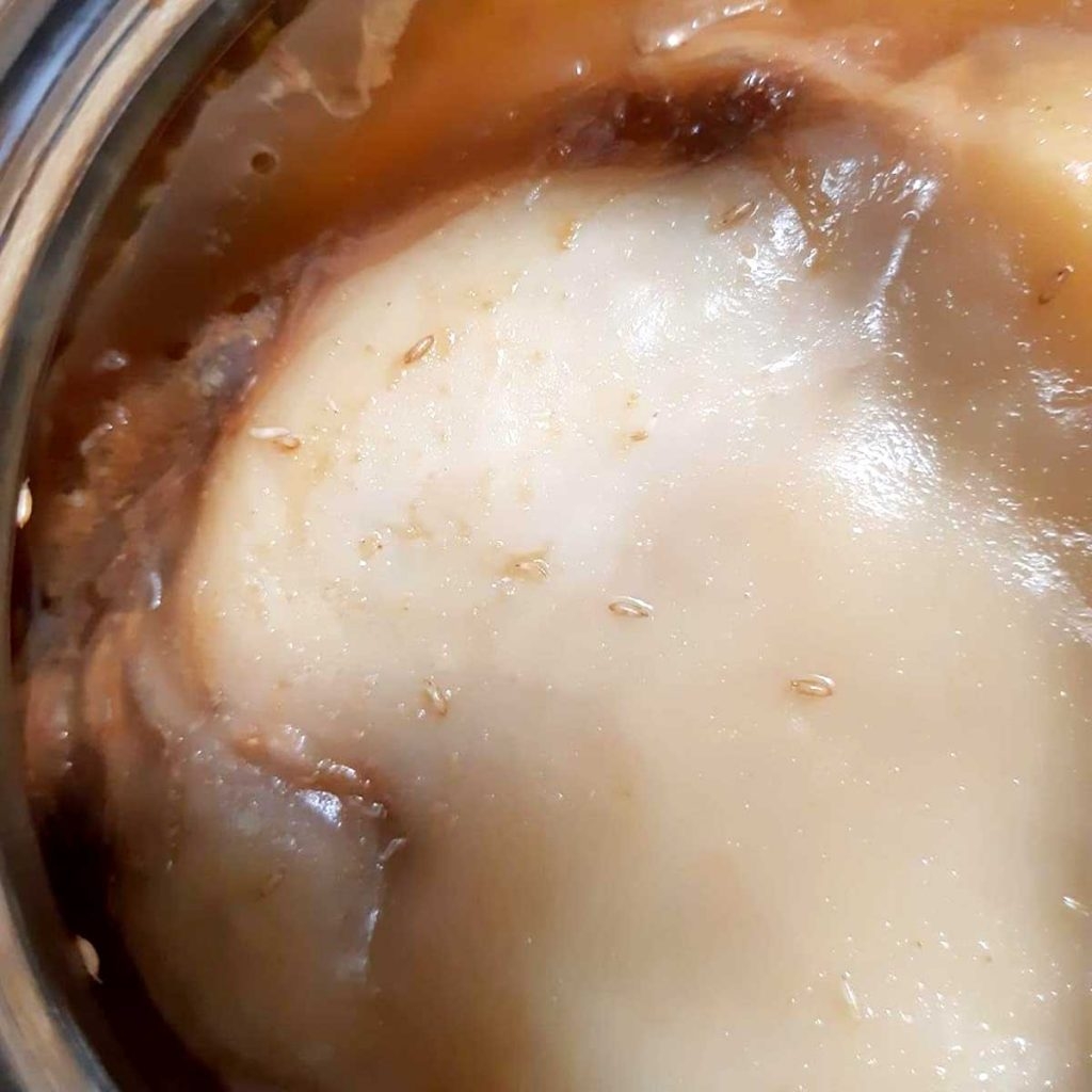 kombucha fruit pictures