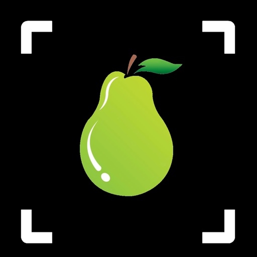 fruit identifier by picture