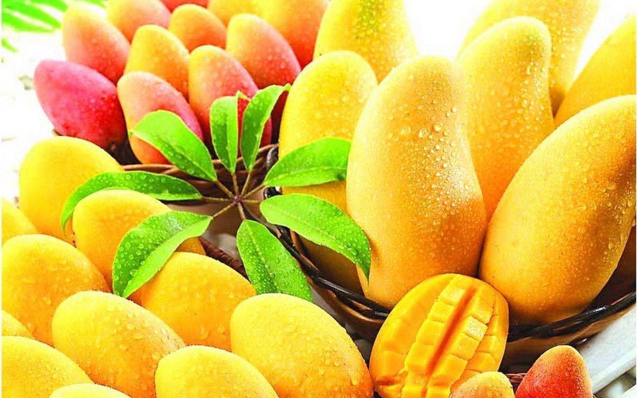 Fruit Mango Wallpapers Top Free Fruit Mango Backgrounds WallpaperAccess