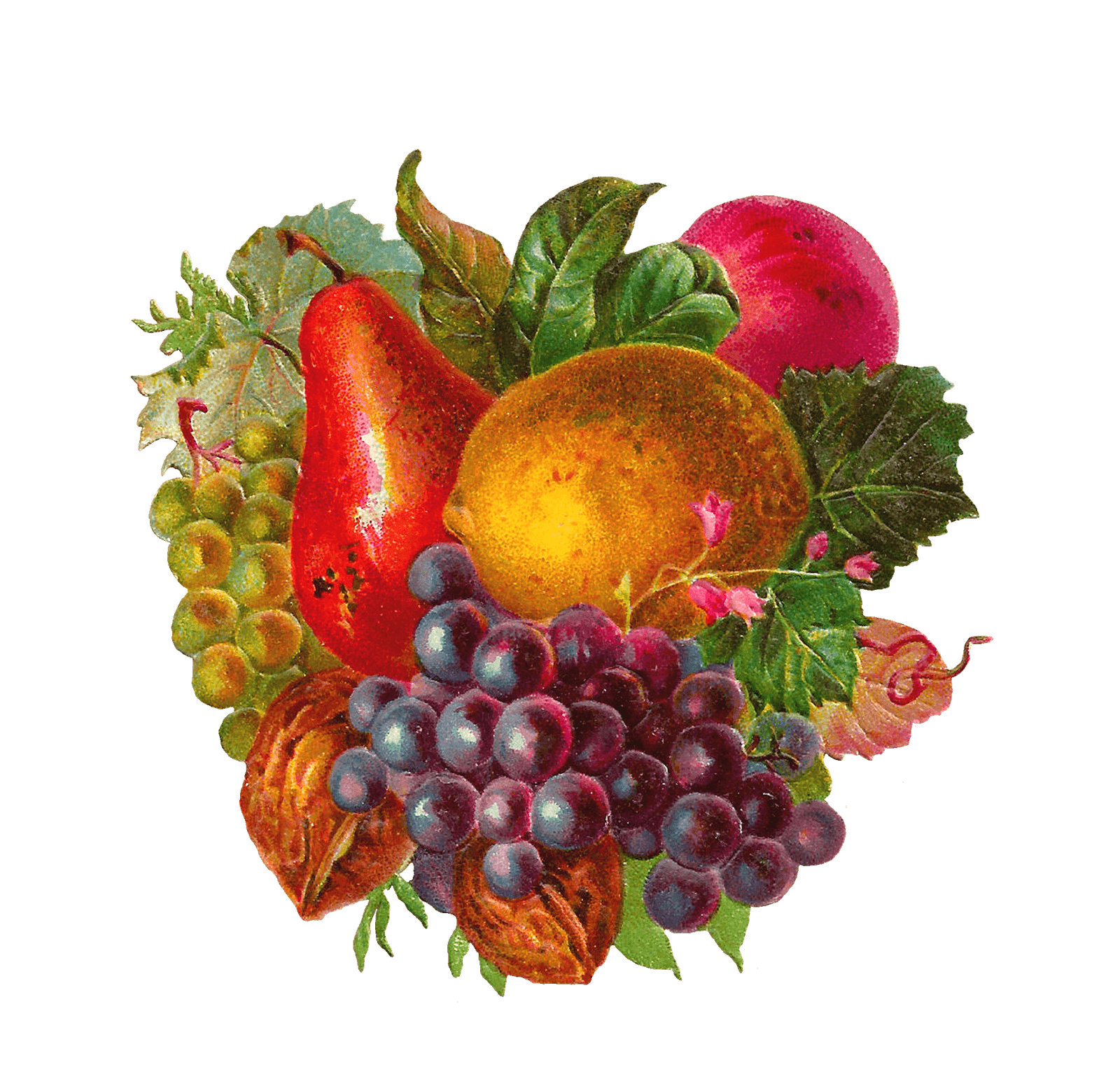 Fruit Mix Transparent PNG StickPNG