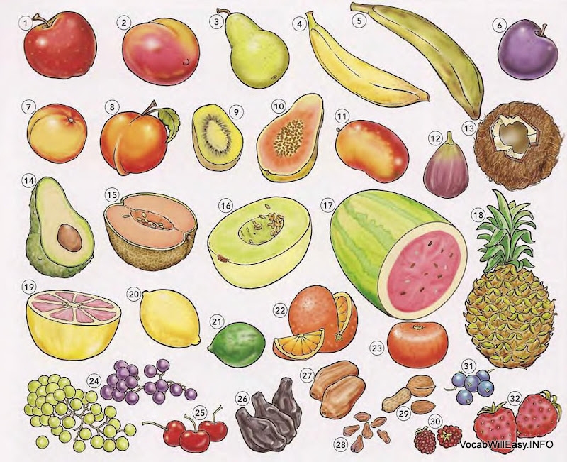 FRUIT Online Dictionary For Kids