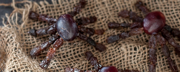 fruit spider pictures