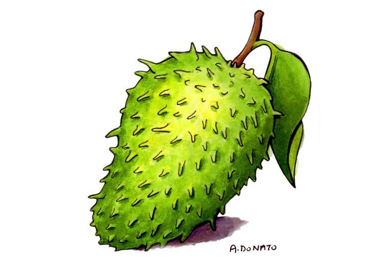 picture of graviola fruit