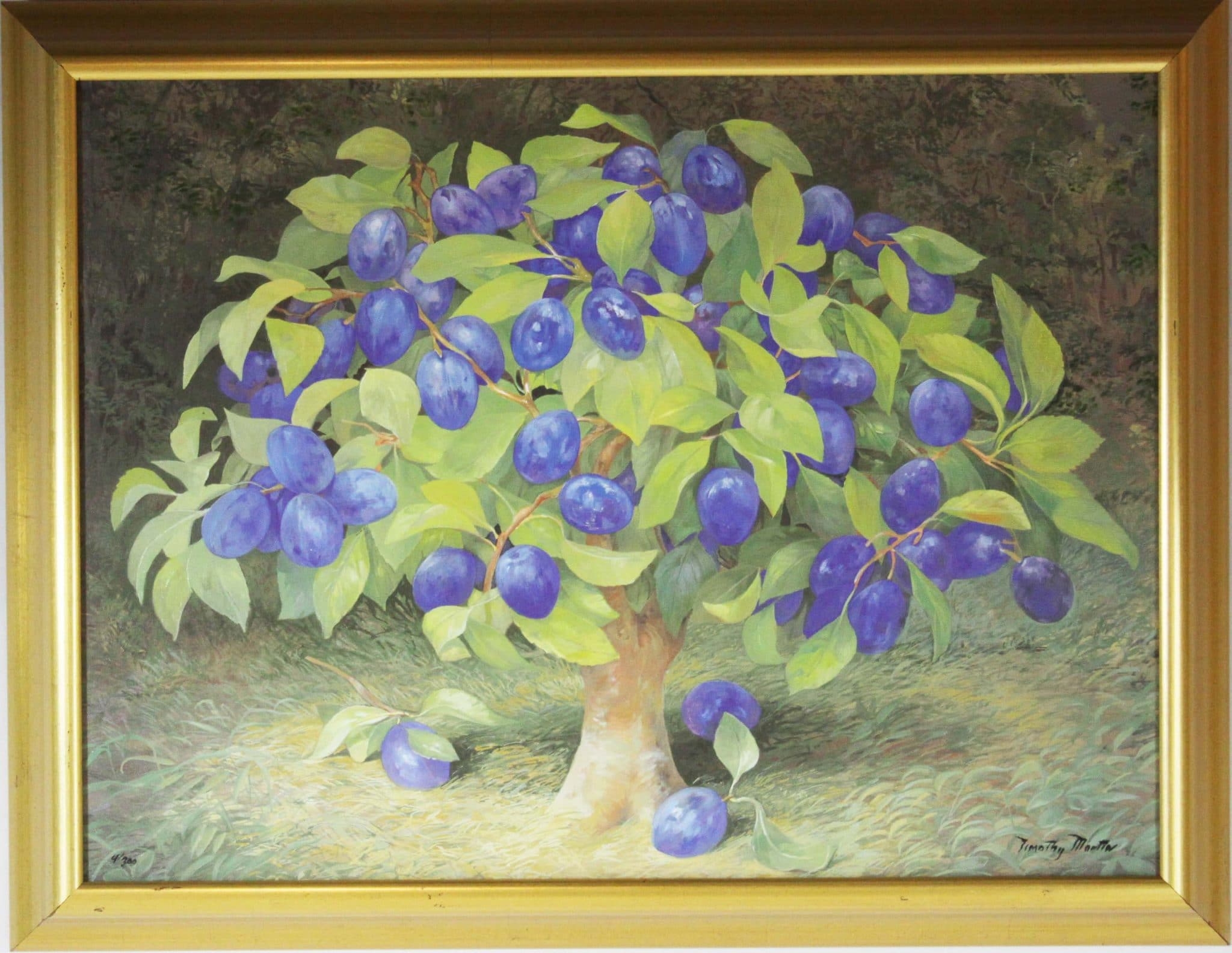 framed fruit pictures