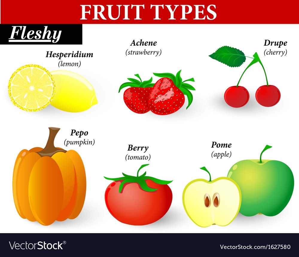 fleshy fruits names with pictures