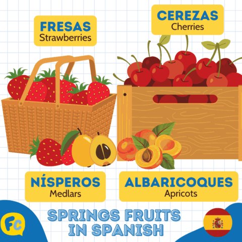 Fruits And Vegetables In Spanish Essential Vocabulary
