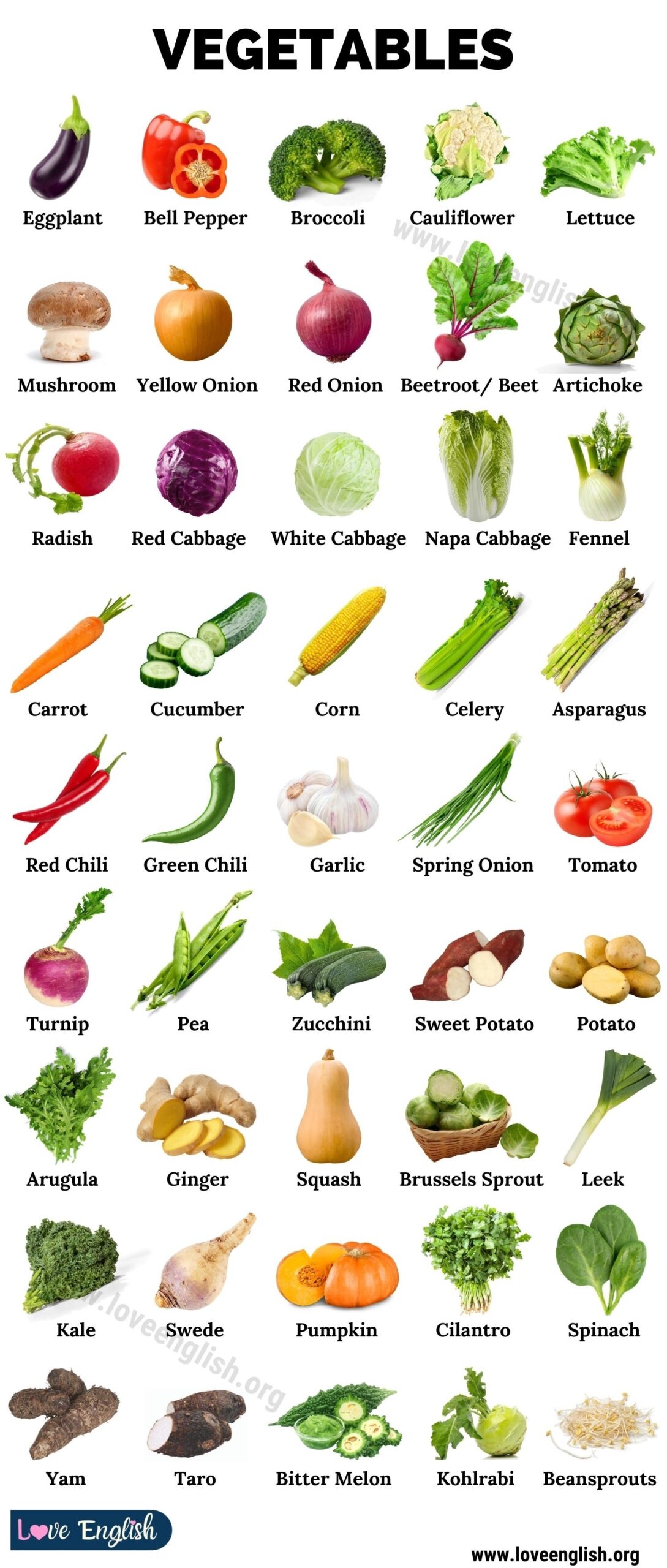 list of vegetables and fruits with pictures