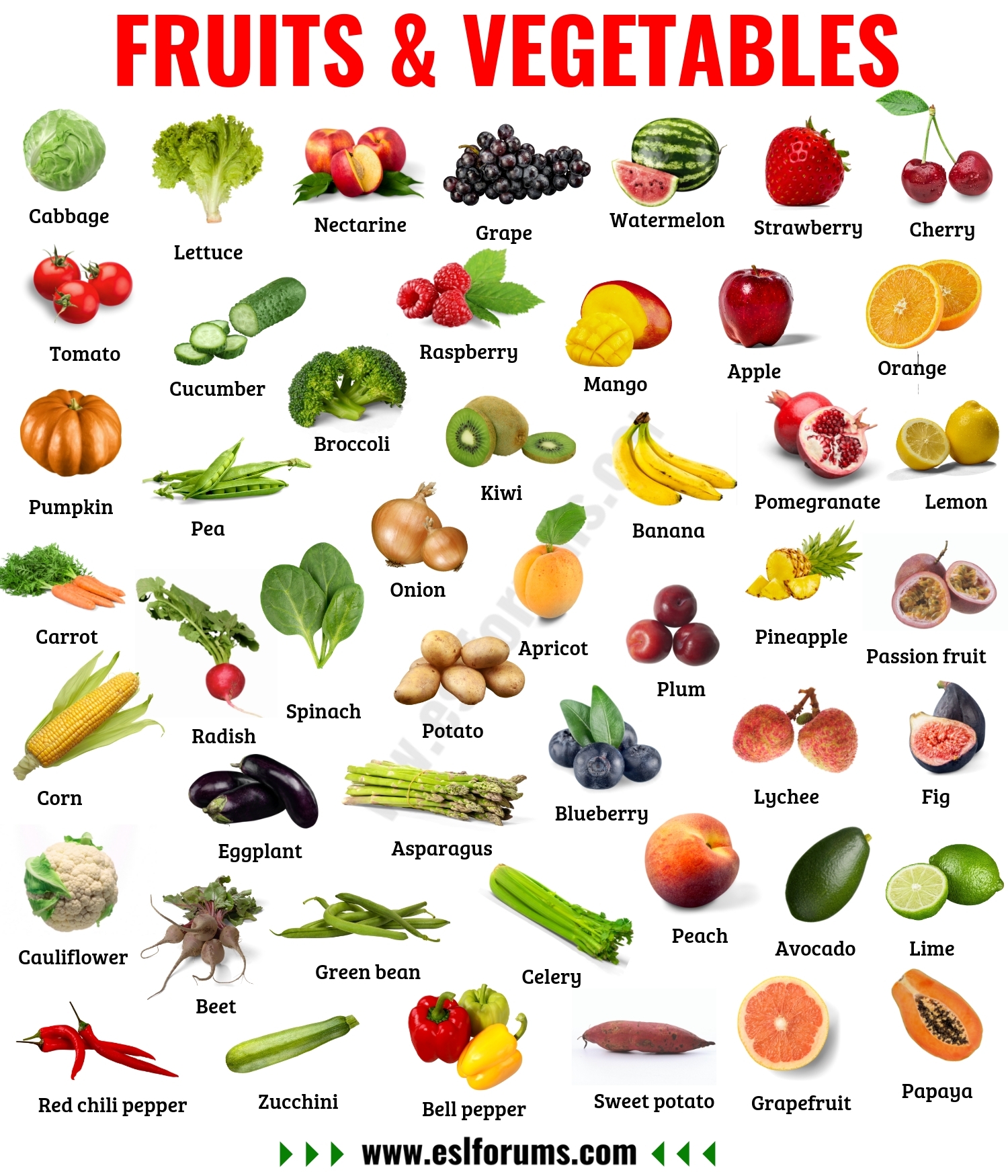 Fruits And Vegetables Names Of Vegetables And Fruits In English With 