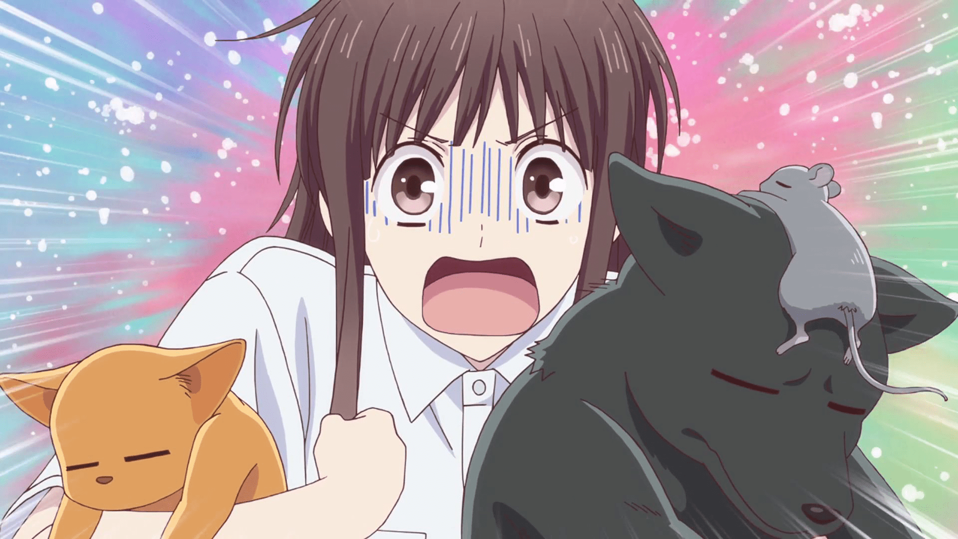 Fruits Basket Anime Wallpapers Top Free Fruits Basket Anime 