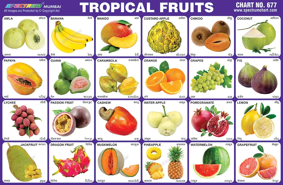 fruits pictures chart
