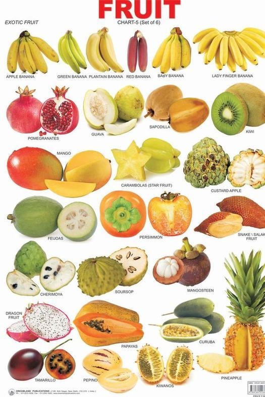 Fruits Chart With Names Charts Diagrams Graphs