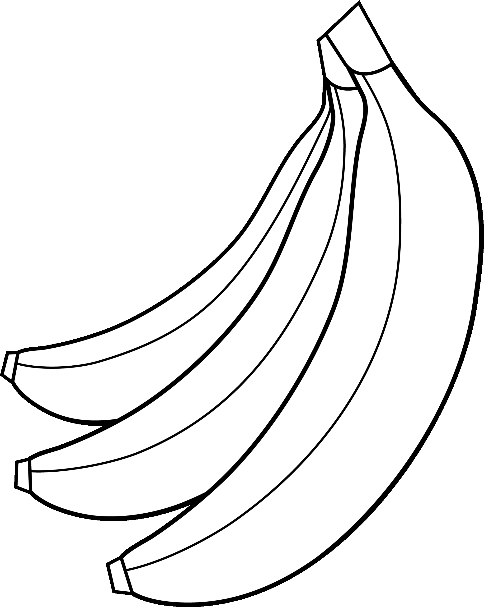 Fruits Clipart Black And White Free Download On ClipArtMag