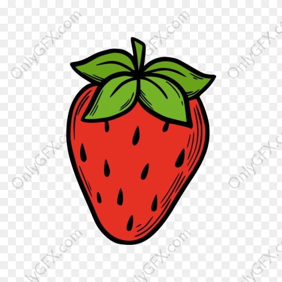 Fruits Drawing Clipart Set PNG Transparent OnlyGFX