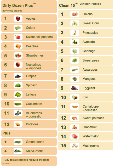 Fruits Name In Alphabetical Order English Lessons