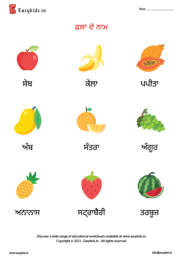 Fruits Name In Punjabi EasyKids in