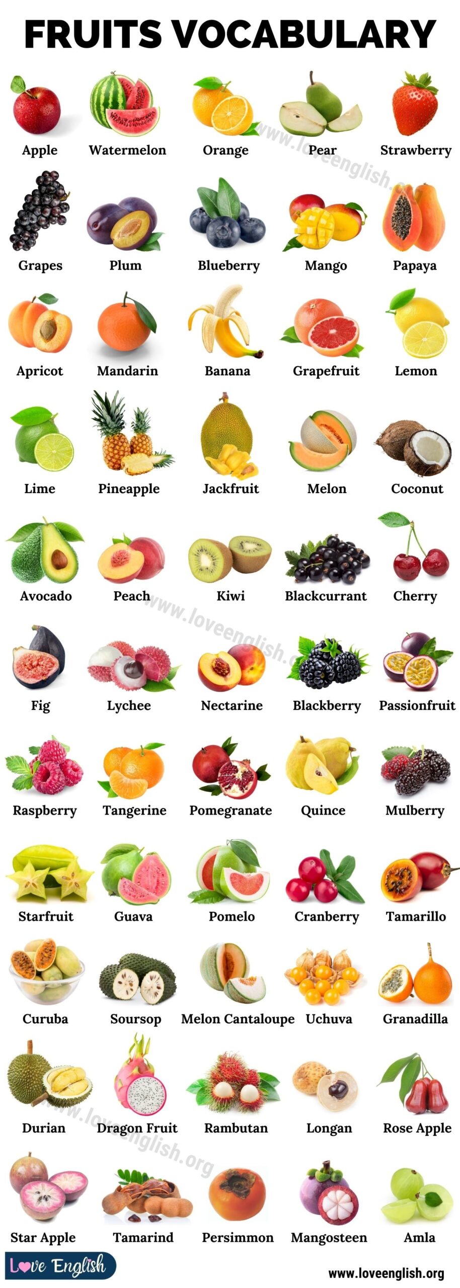 list of all fruits in the world with pictures