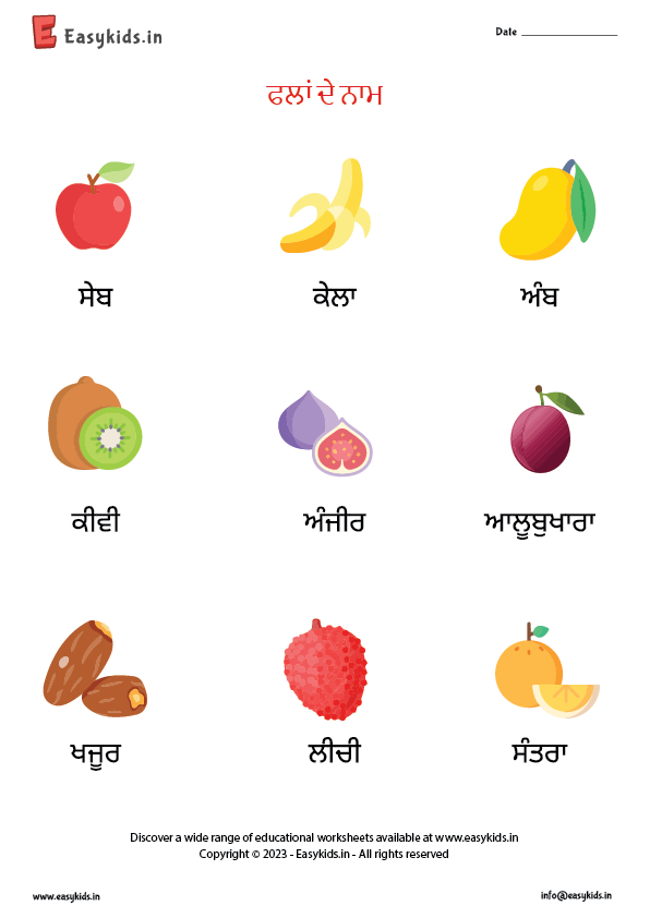 Fruits Name Punjabi EasyKids in