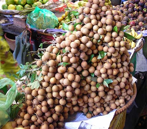 Fruits Of Cambodia