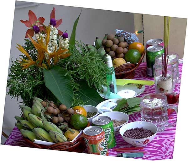 cambodia fruits pictures