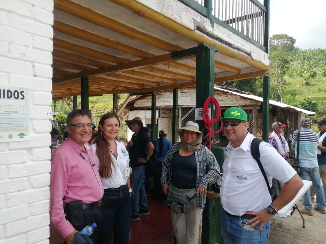 Galeria We Pack Colombian Fruits