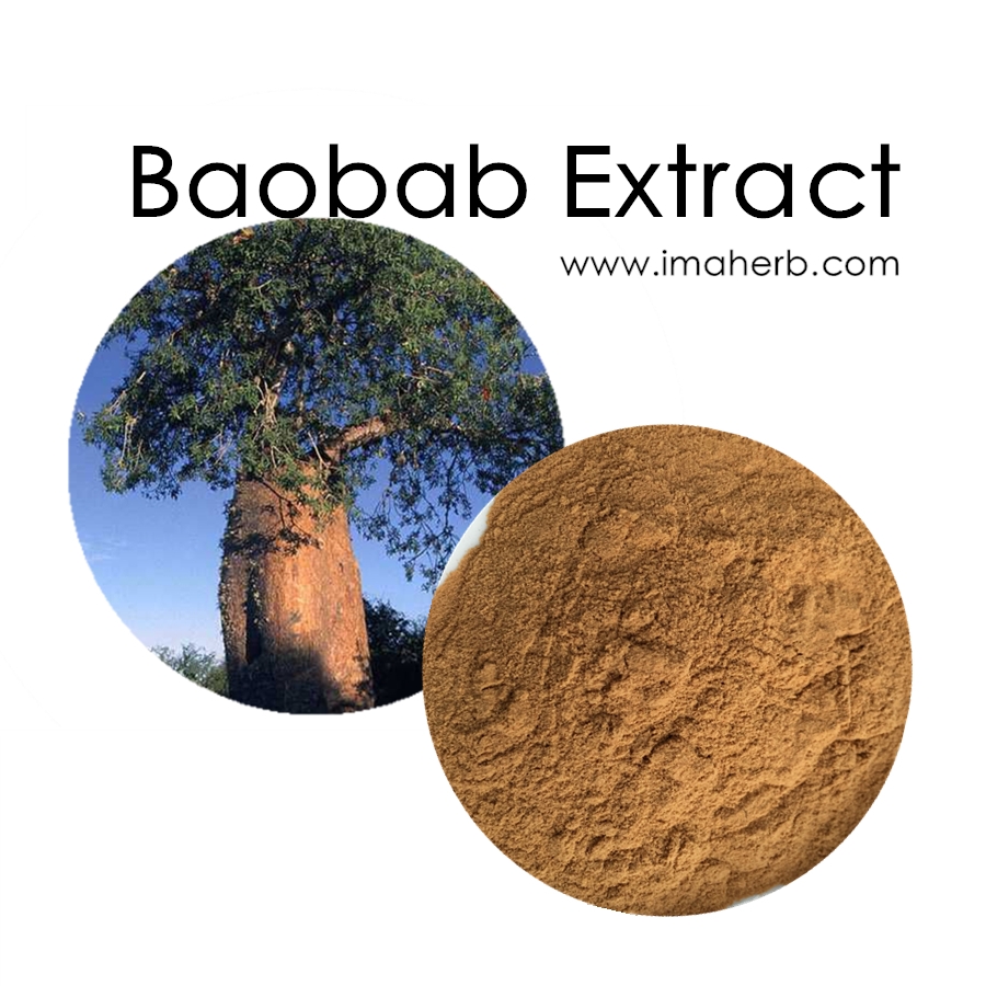 GMP Factory Supply Herb Organic Baobab Powder Baobab Fruit Powder