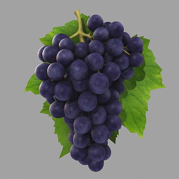 Grape Fruits And Vegetables