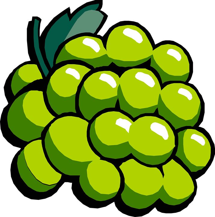 Grape Fruits Bunch Free Vector Graphic On Pixabay